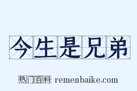今生是兄弟是什么意思的图片